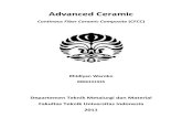 Advanced Ceramic - Continous Fiber Ceramic Composite (CFCC)