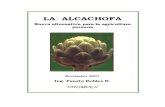 alcachofa parte agricola