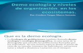 Demo ecología y niveles de organización  en los
