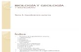 BIOLOGÍA Y GEOLOGÍA Tema 5. Geodinámica externa
