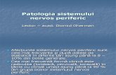 Patologia Sistemului Nervos Periferic Ro
