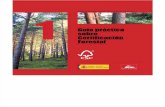 guia práctica Certificación Forestal FSC