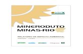 RIMA Mineroduto Minas-Rio