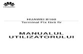 Manual de Utilizare HUAWEI B160