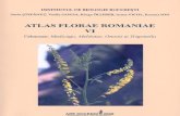 Atlas Florae Romaniae VI