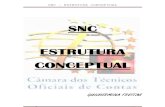 SNC - EstruturaConceptualDIS1409