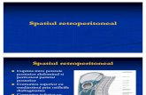 Sp.retroperitoneal Curs 9 Anatomie 31.11
