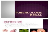 Tuberculosis Renal 1