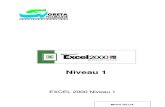 Excel 2000 Debut Ant
