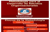 Metodologia de Estudios Organizacionales (3)