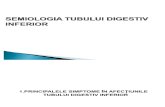(Curs 10 ) Tubului Digestiv Inferior