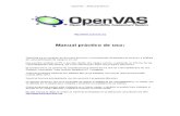 Tutorial OpenVas- Back Track 4.2 SPANISH