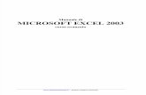 Manuale Excel 2003 Avanzato