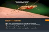Paludismo - Malaria
