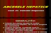 Curs - Abcese Hepatice