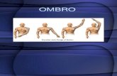 OMBRO - Fisioterapia