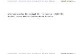 Jerarquia Digital Sincrona Sdh 4681 Completo STM1