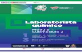 Guía Formativa. LABORATORISTA QUÍMICO 13. Gobierno Hidalgo, CECyTEH 2012