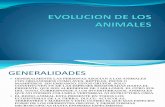 Evolucion de Los Animales