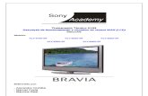 Treinamento+TÉCNICO TV LCD Sony-Bravia