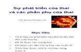 Su Phat Trien Cac Phan Phu Cua Trung