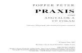 Popper Péter - Praxis avagy angyalok a tű fokán