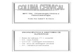 Biomecanica Coluna Cervical