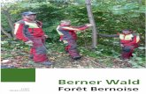Berner Wald 05-11 Web