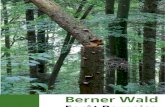 Berner Wald 01-12
