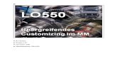 LO550 Uebergreifendes Customizing Im MM