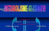 Metabolisme Glikogen [Dr. Hairrudin