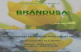 Oferta Educational A Gradinita Brandusa