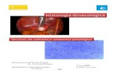 Histologia Ginecológica-técnicas de colheita e anatomia patológica