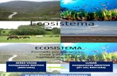 Bio Ecosistema