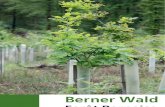Berner Wald 02 12