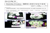 Sony MHC-DX1,3,5,7,8,9 1200 Mecanismo Puesta a Punto
