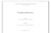 Monografía puruchuco