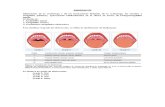 Modulo de Otorrinolaringologia