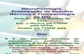 Neurofisiologia, Propagação do Impulso Nervoso e Fisiopatologia