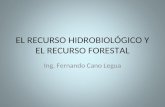 7 EL RECURSO HIDROBIOLÓGICO Y FORESTAL