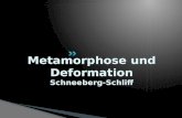 Metamorphose Und Deformation_v2