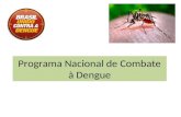 Programa de Combate a Dengue