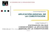 DIAPOSITIVAS II - JBC - aplicación judicial de la Constitución