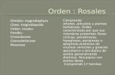 Orden Rosales
