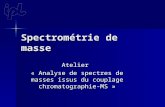 Analyse de Spectres Issus Du Couplage Gc Ou Lcms