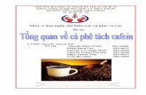 Tong Quan Ve CA Phe Tach Cafein