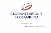 Material 13 Cloranfenicol