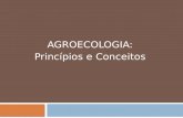 REvolução verde e agroecologia 2