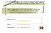 DEFICIENCIAS CONSTRUCTIVAS EN MUROS DE ALBAÑILERIA