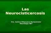 Las Neurocisticercosis